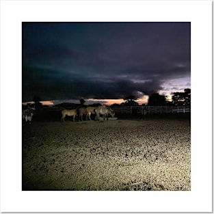 Horses at the cattle ranch Posters and Art